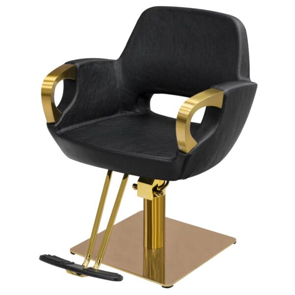 HAIR SALON Frizerska stolica YL351 Gold